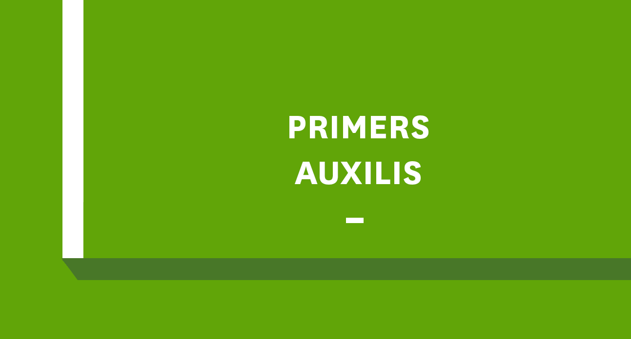 PRIMERS AUXILIS