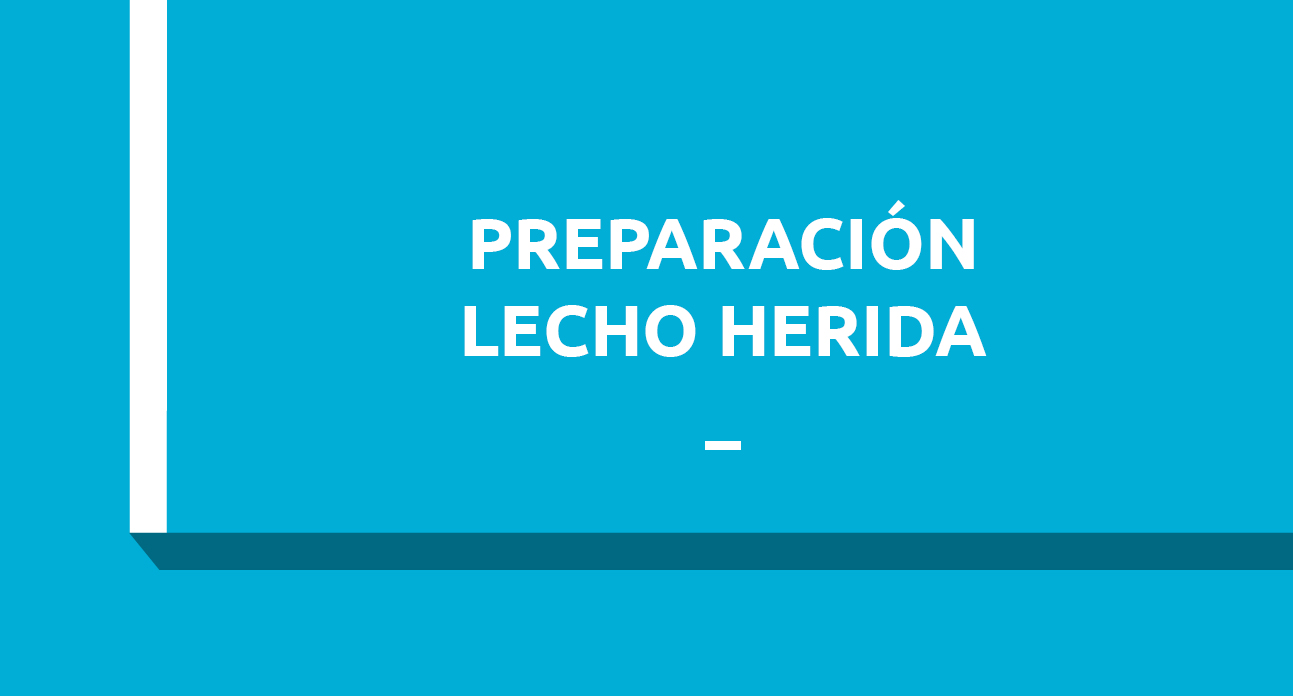 PREPARACIÓN DEL LECHO DE LA HERIDA - FUNDAE